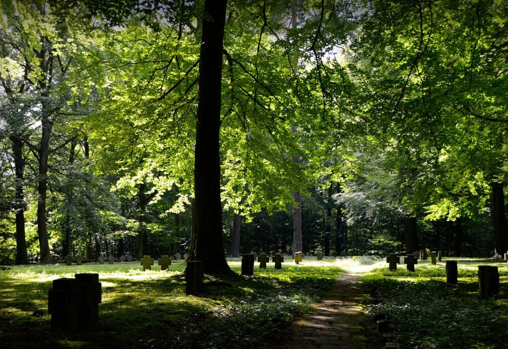 Friedhof-Gebühren für Zeuthen, Trebbin und Kolkwitz