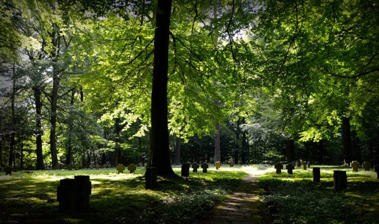Friedhof-Gebühren für Zeuthen, Trebbin und Kolkwitz